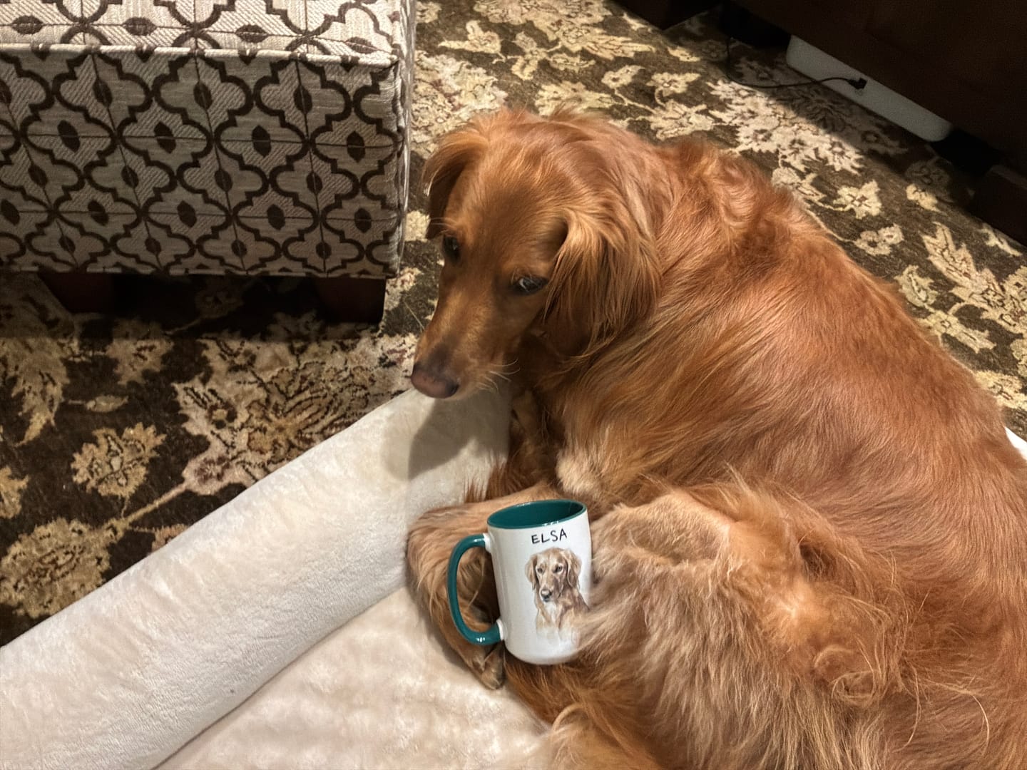 Golden Retriever with a green-handled mug labeled ELSA