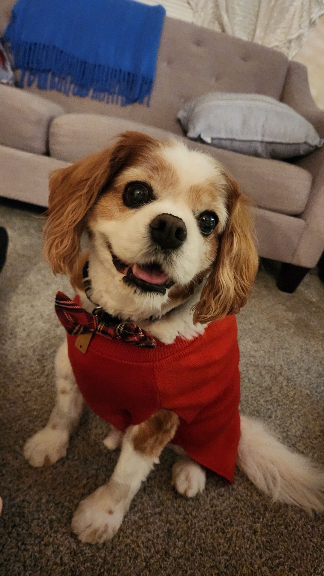 Original photo of Louie